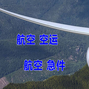 龙湾航空快递快递-选东方航空和上海航空