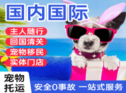 龙湾航空快递国际宠物托运 【国